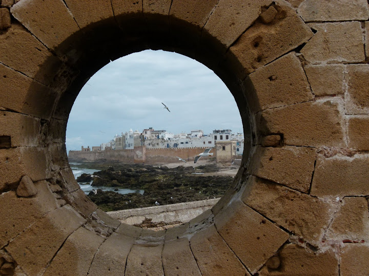 100% Morocco - Blogs de Marruecos - Visitando Essaouira y el Palmeral (13)