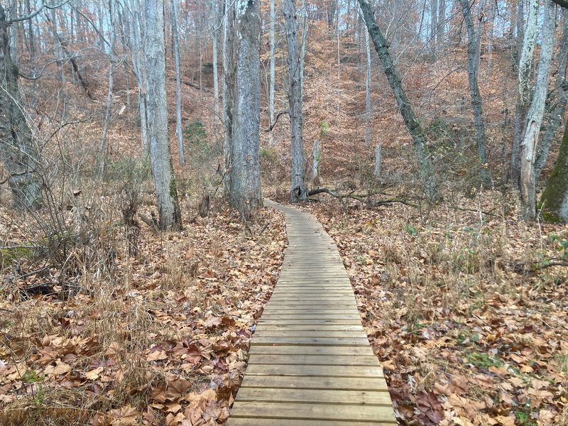 The only part of the path that wasn't dirt singletrack were these wooden walkways that lead over streams