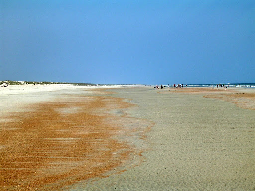 Anastasia State Park