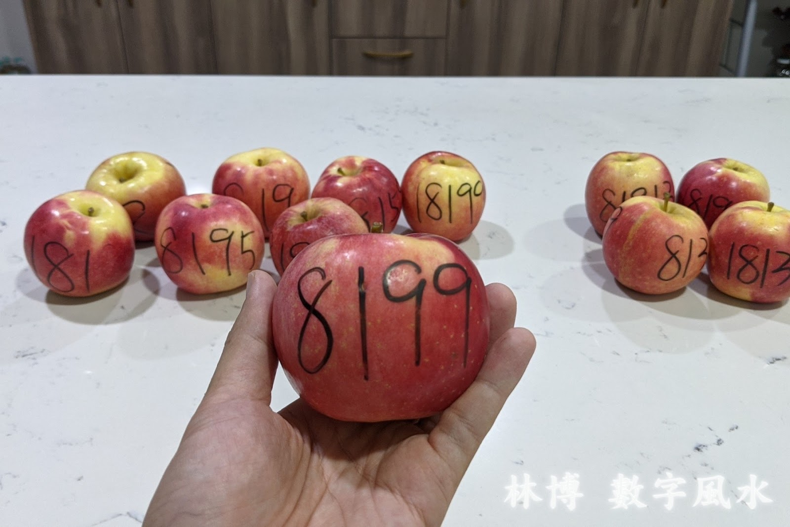 十顆蘋果分別寫上不同的數字，來觀察五鬼磁場對其腐爛的影響，這一顆是 8199