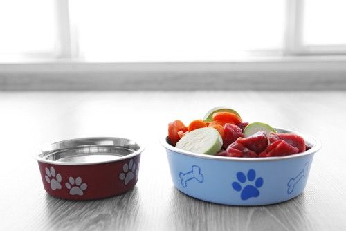 comida casera para perros