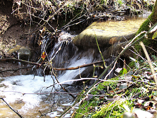 Winter Rain by Doug Hagler