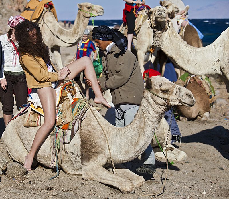 Русские девушки на верблюдах в Египте