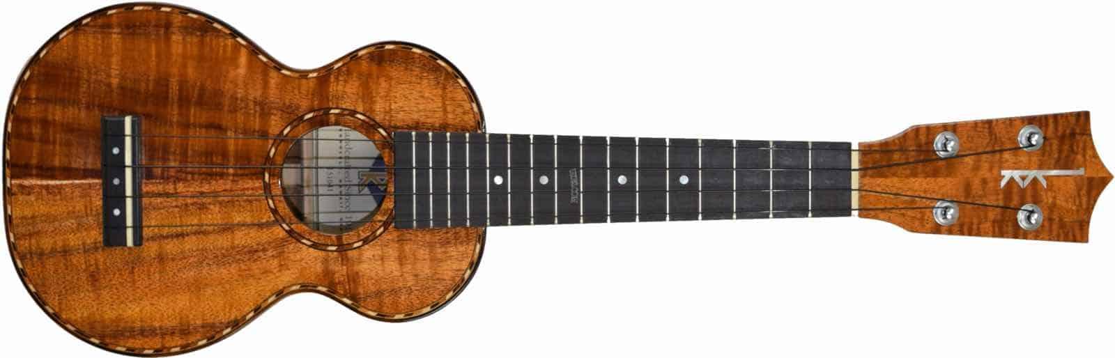 huong-dan-chon-mua-dan-ukulele-chi-tiet-nhat 5