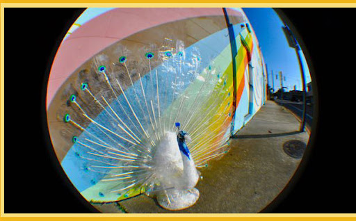 9 Amazing Scotch Tape Sculptures [PHOTOS]