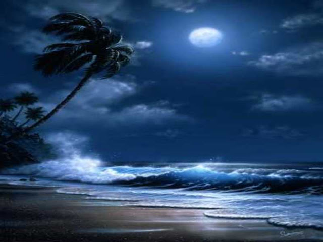 desktop wallpaper moonlight. Moonlit Nights Wallpaper