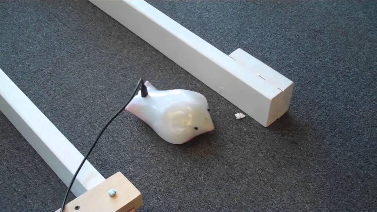 the finch robot from birdbrain technologies connected to a power cable