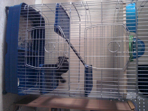 Modification de mes cages 2011-04-26%2020.03.00