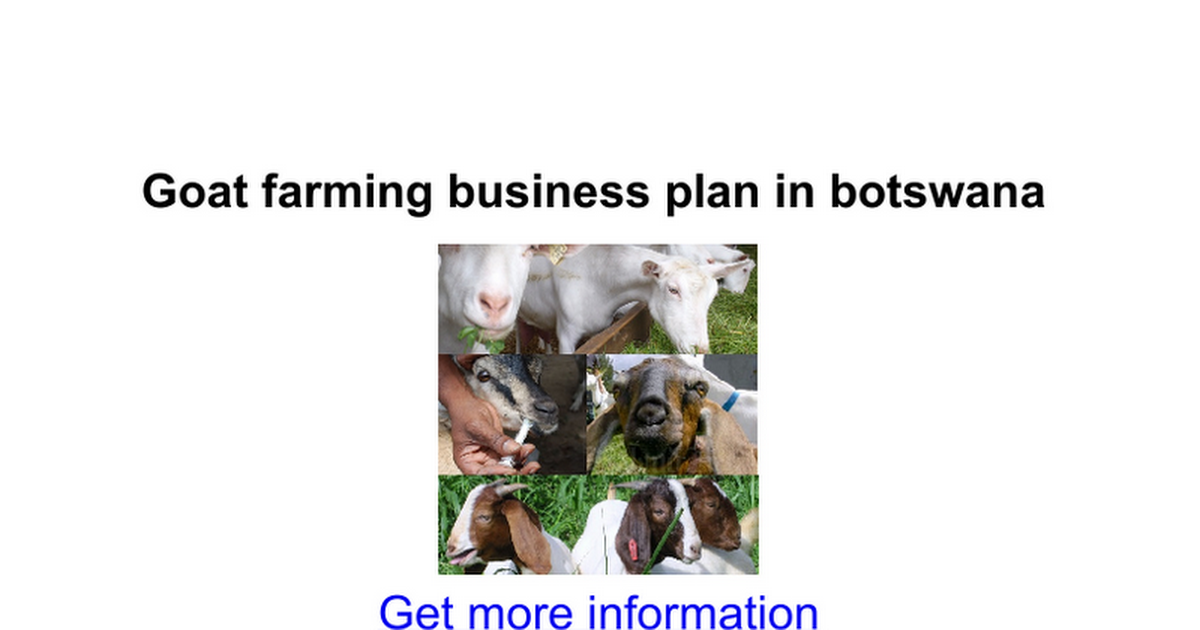 business plan botswana