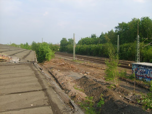S5000109.JPG