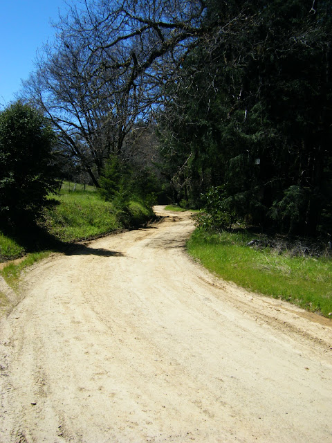 DSCF9800.JPG