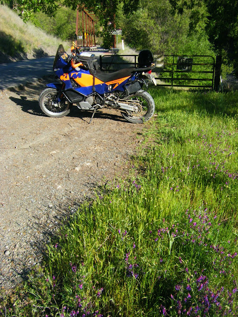 DSCF9803.JPG