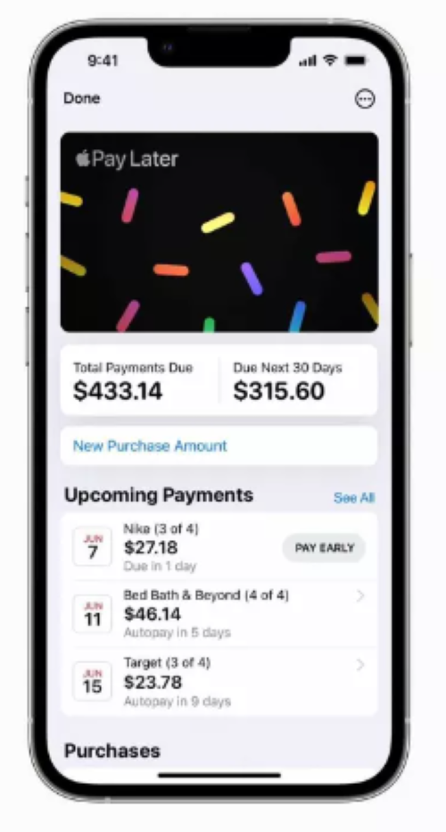 View of Apple Pay Later payment dashboard