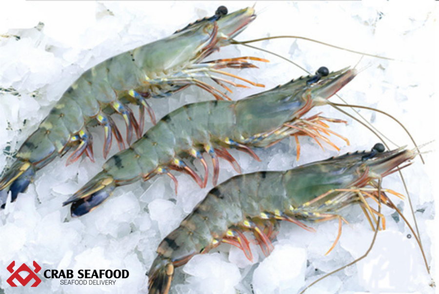 Giá tôm sú tươi sống. Mua tôm sú tươi sống ở đâu TP.HCM? - Crab Seafood