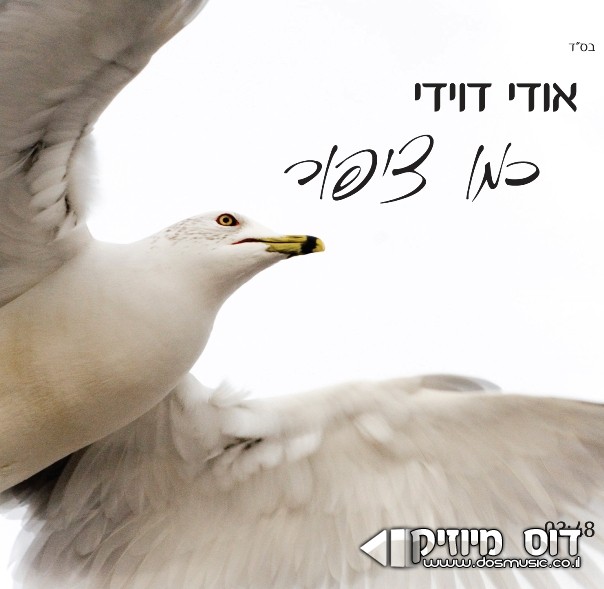 אודי דוידי-כמו ציפור (חדש) - 