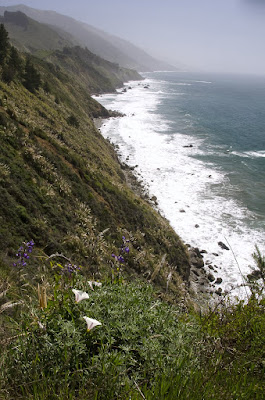 first look at big sur coast