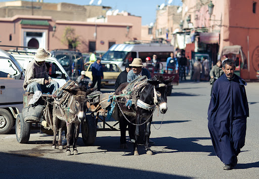 Марокканция. На краю пустыни.