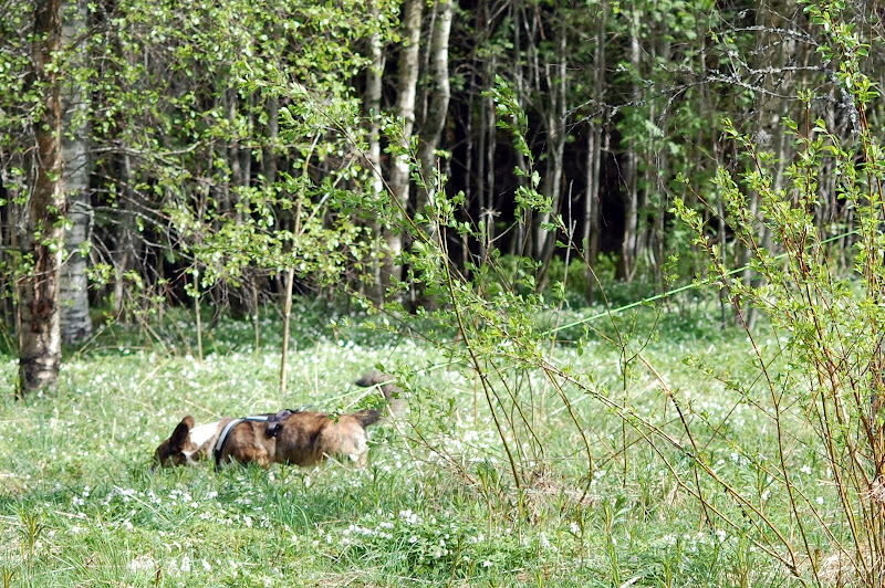 DSC_0220.JPG
