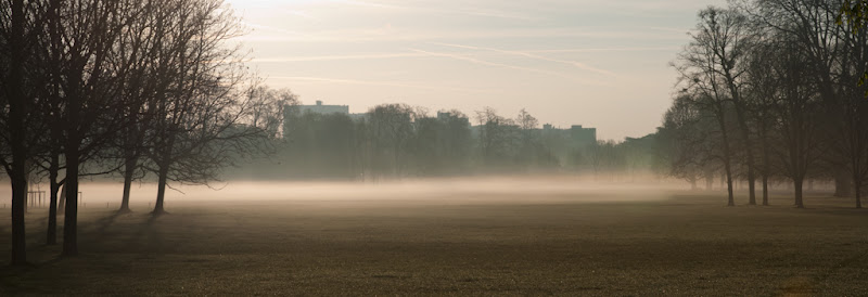 brume sur parc... 20110401_01_parc_brume_DSC0688