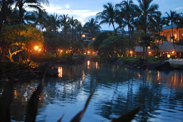 Hyatt
