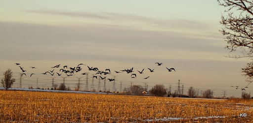 IMAGE: https://lh5.googleusercontent.com/_hdZasF15SMc/TXbsL2XTj-I/AAAAAAAASIg/ZHid7g_aMds/IMG_0319.JPG