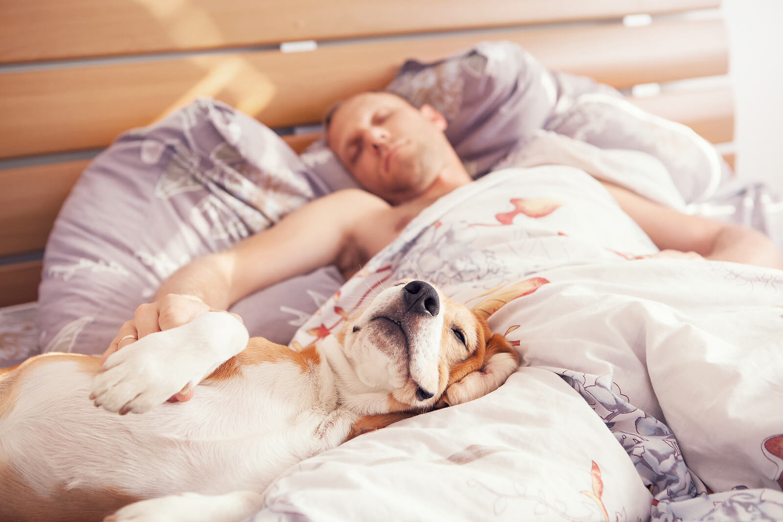  Các hành vi trong lúc ngủ đều là phản ứng sinh lý thông thường