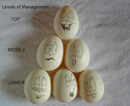  these managers produce non piece of occupation at the same marking Levels of Management - Top, Middle in addition to Lower Level