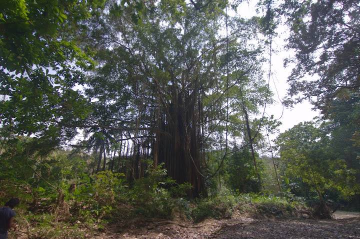 Колумбия : По дороге с облаками Колумбия : По дороге с облаками
