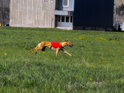 DSCF2357.JPG