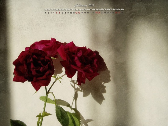 [February-Calendar-banner[4].jpg]