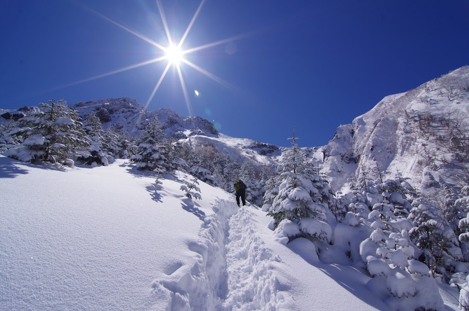 森林限界付近の急登