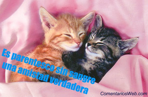 Imagenes con frases lindas