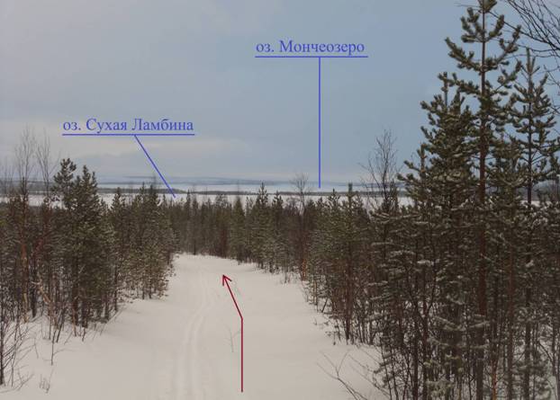 Отчет о лыжном походе 1 категории сложности по Российской Лапландии