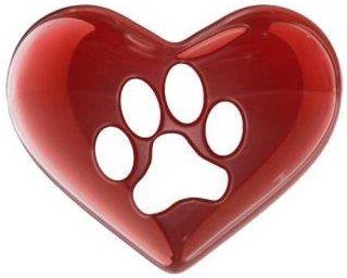   karlovac udomljavanje pasa