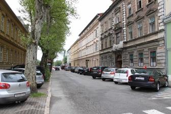 nazorova devastacija platane Karlovac