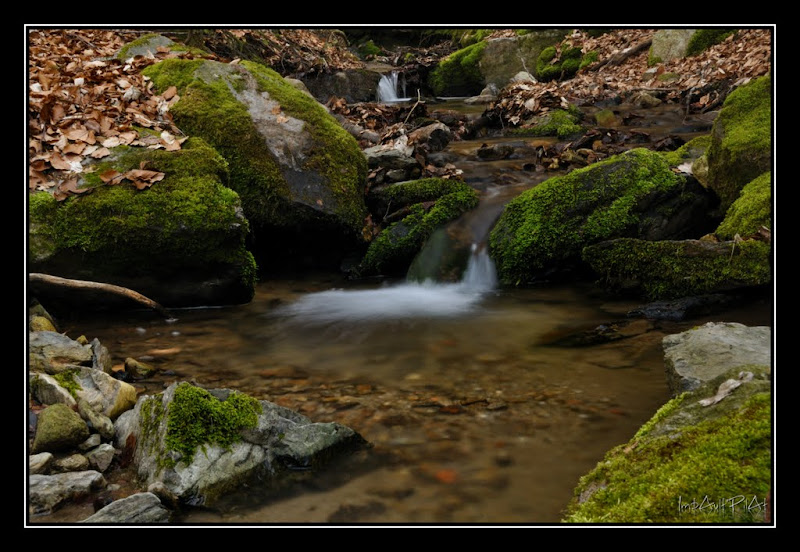 Et au milieu coule... un ruisseau ;-) DSC_0750%27_GF