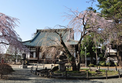 もう一つのしだれ桜