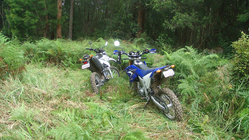 Blue 10 and a white 08 250R in the Aussie bush ...Continued DSC02473