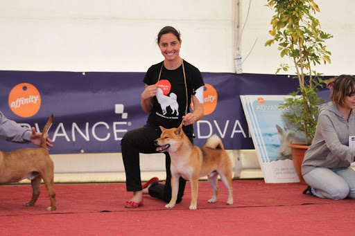 VIII Concurso Nacional Canino - X Concurso Canino de Lanzarote 2011 Yaiza-yao