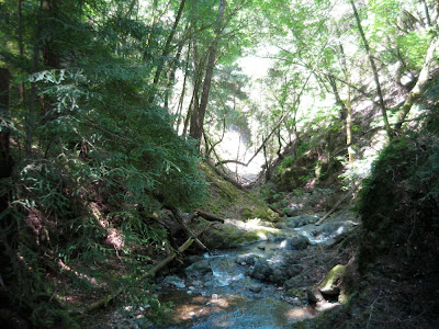 Marin County destination trail