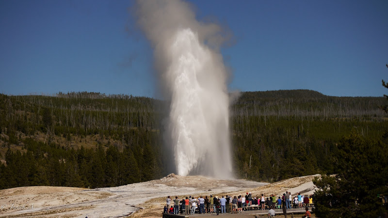 LE YELLOWSTONE Voyage%20uSA%20MAMOOTH%20SPRINGS%20OLD%20FAITHFUL%20138