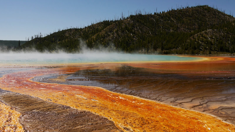 LE YELLOWSTONE Voyage%20uSA%20MAMOOTH%20SPRINGS%20OLD%20FAITHFUL%20367