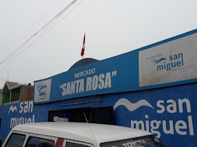 Renovadora De Calzados Bassi