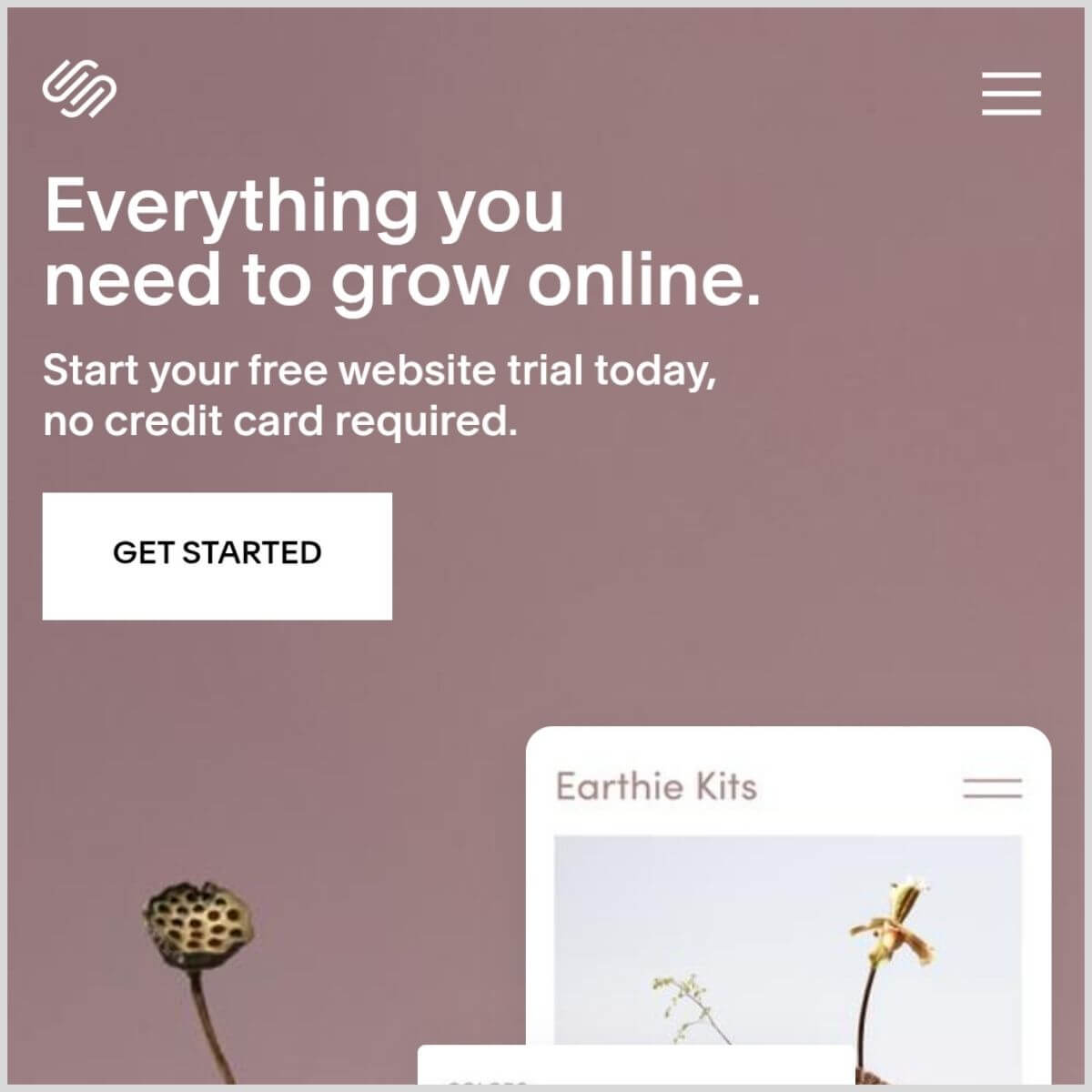 Squarespace frontpage