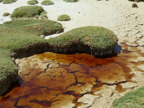 Parc de Sajama