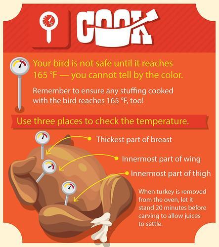 Turkey Cook infographic