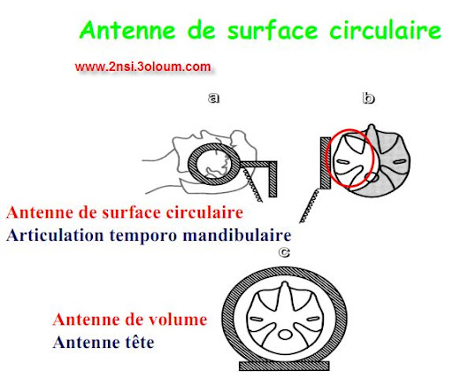 biophysique IRM 3