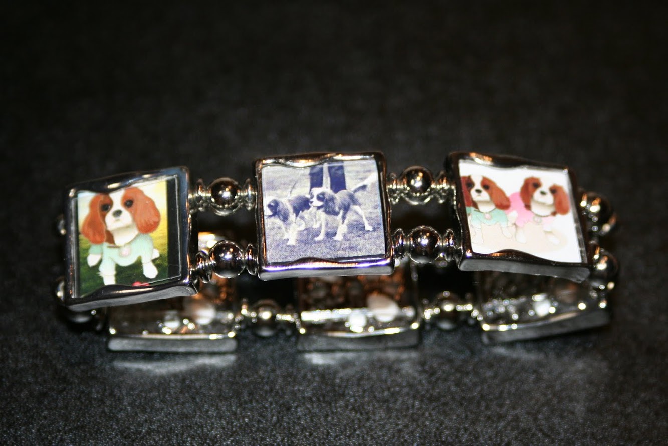 PetBook Lady and Heritage Makers Keepsake Bracelet