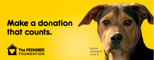Pedigree $1 Donation Drive #dogsrule