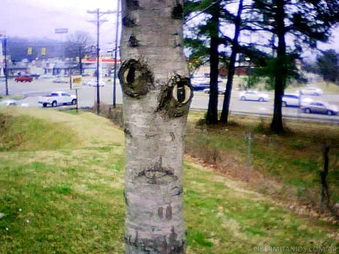 Cosas con cara: el idio-tópic. - Página 2 Pareidolia-3